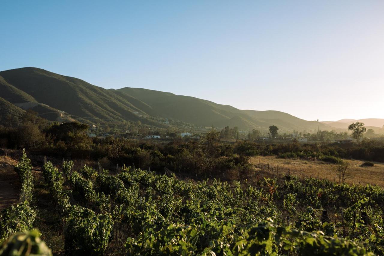 Bed and Breakfast UvaUva eco-retreat Valle de Guadalupe Exterior foto