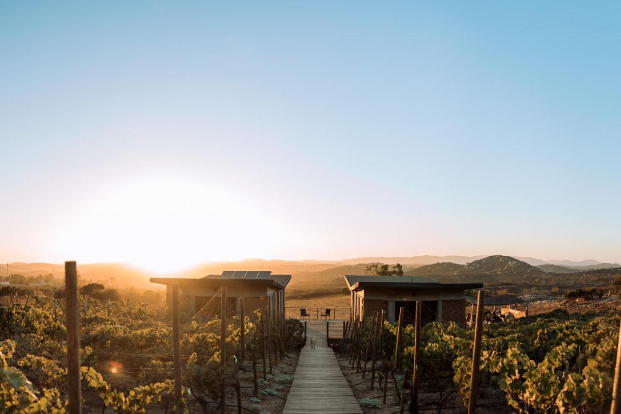 Bed and Breakfast UvaUva eco-retreat Valle de Guadalupe Exterior foto