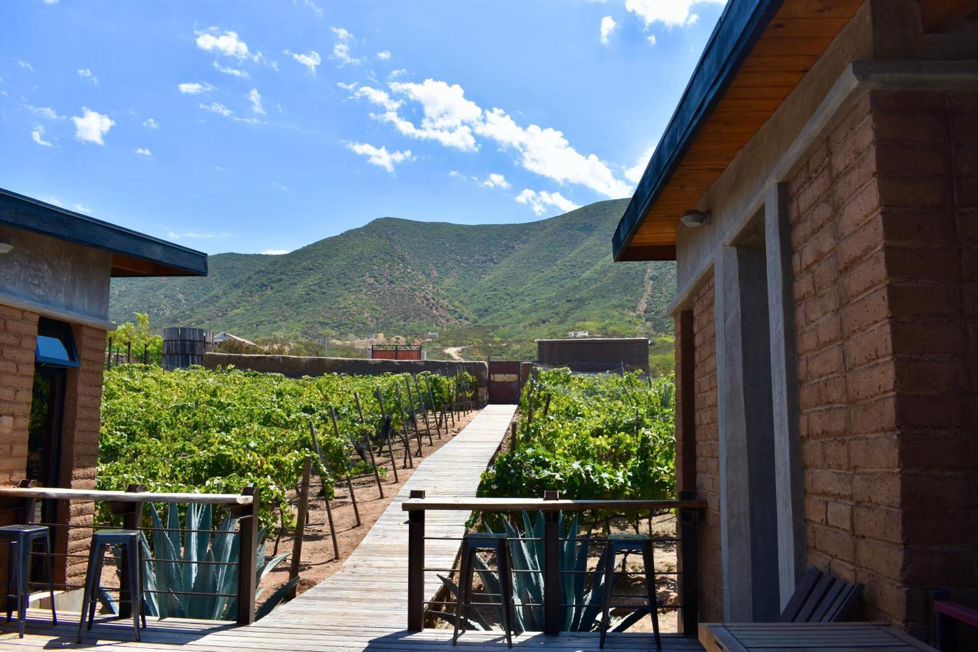 Bed and Breakfast UvaUva eco-retreat Valle de Guadalupe Exterior foto