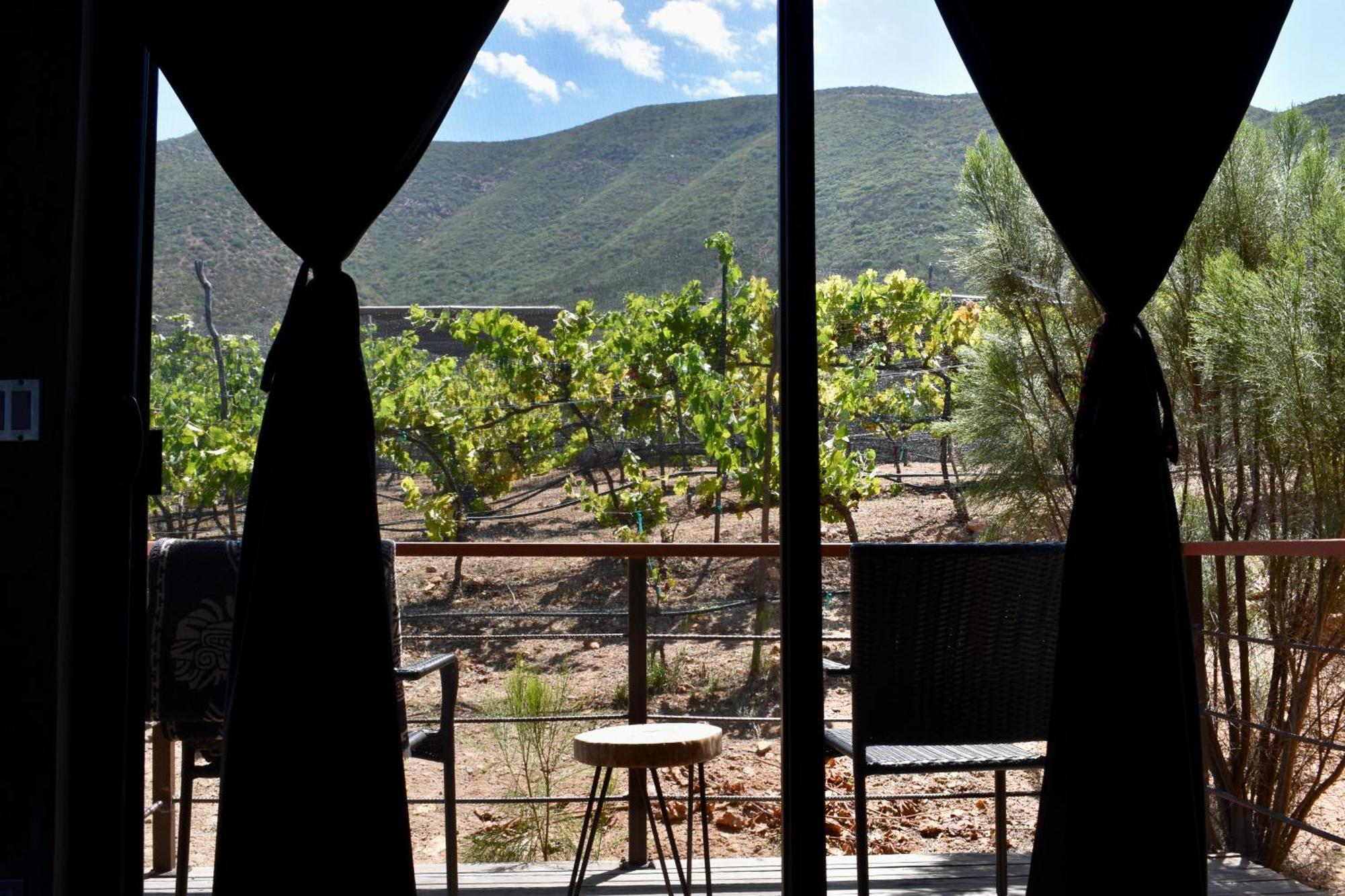 Bed and Breakfast UvaUva eco-retreat Valle de Guadalupe Exterior foto