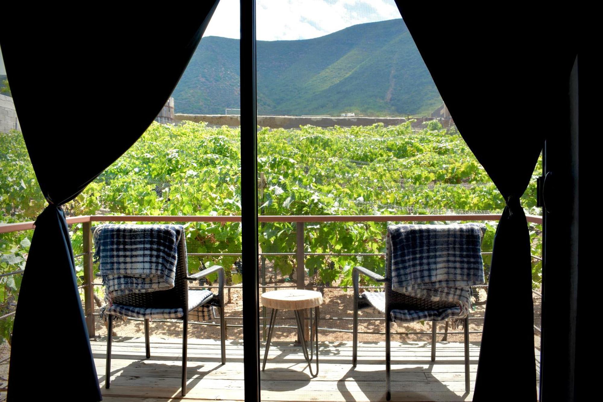 Bed and Breakfast UvaUva eco-retreat Valle de Guadalupe Exterior foto